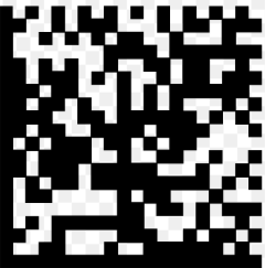 GS1 Data Matrix